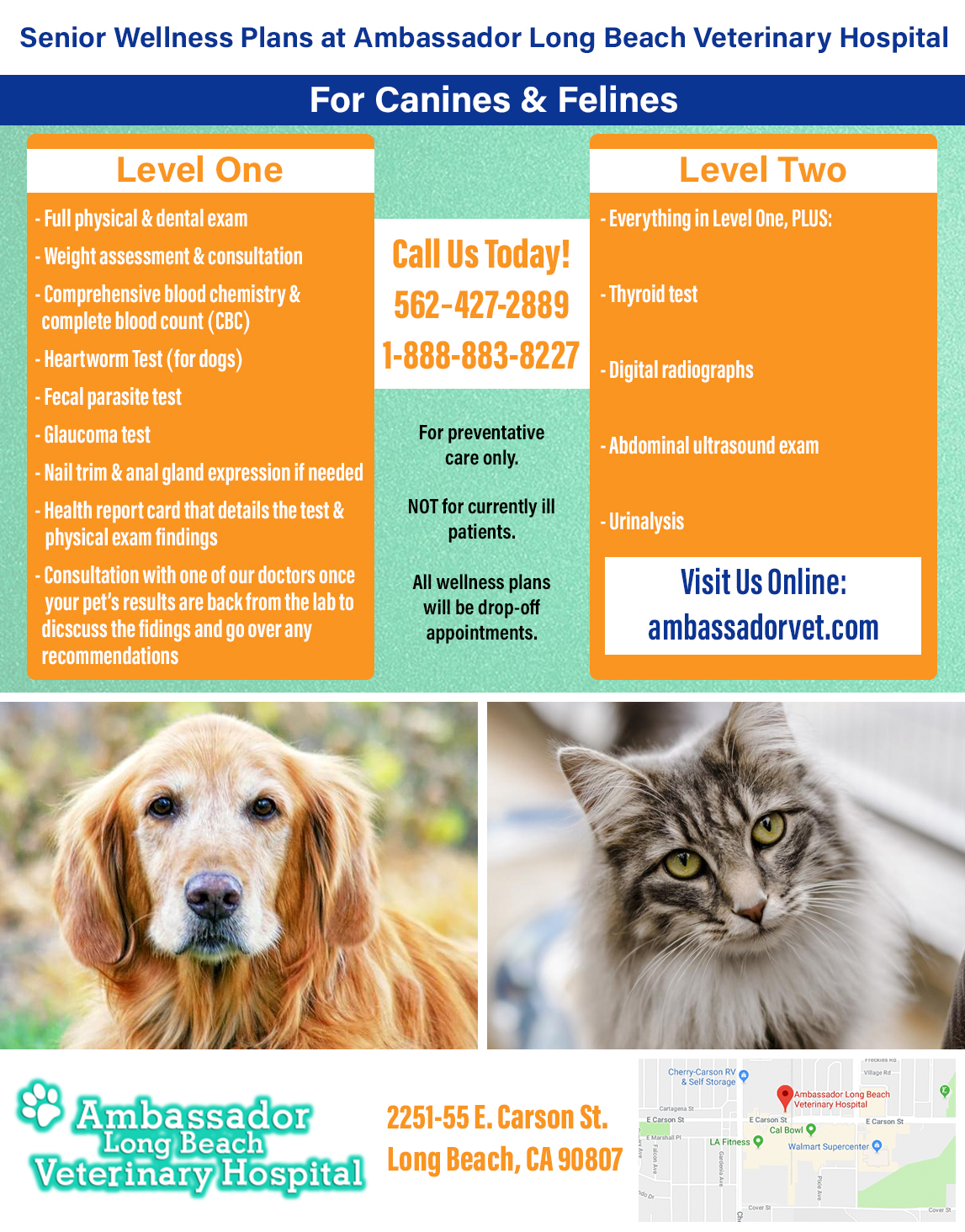 cats and dogs vet long beach